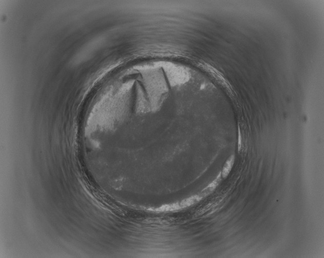 X0000083990627200703161623