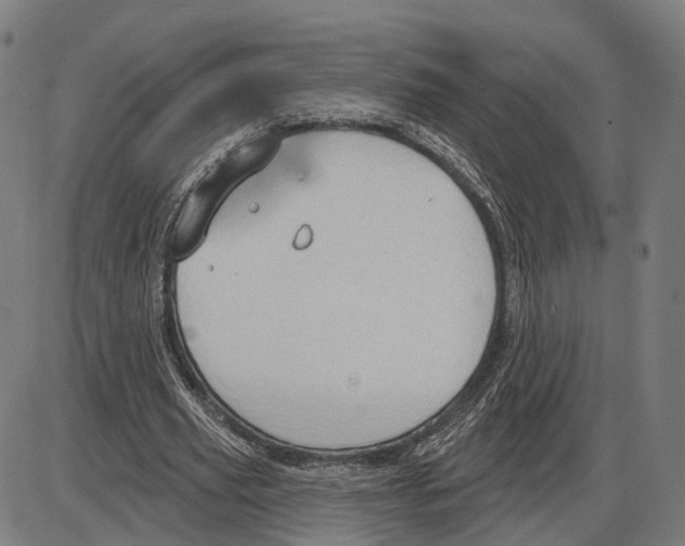 X0000083990629200703161623