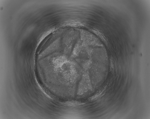 X0000083990630200703161623