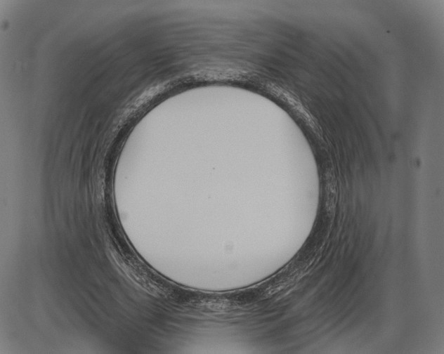 X0000083990631200703161623