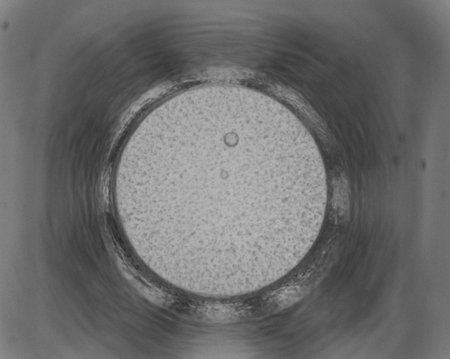 X0000083990632200703161624