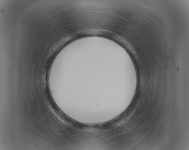 X0000083990633200703161624