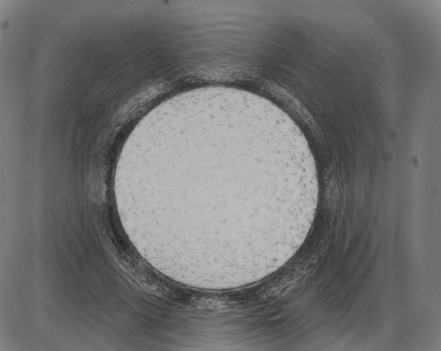 X0000083990635200703161624