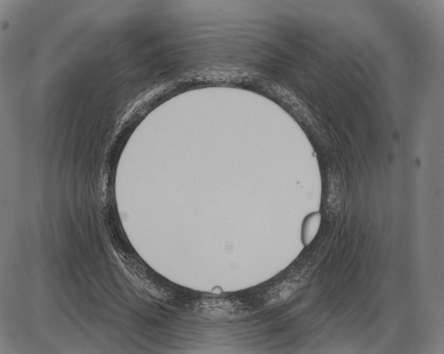 X0000083990636200703161624