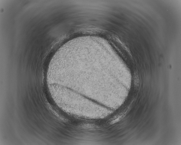 X0000083990637200703161624