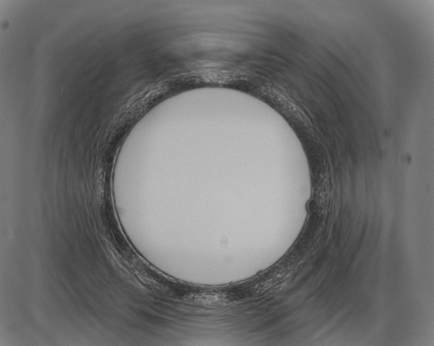 X0000083990639200703161624