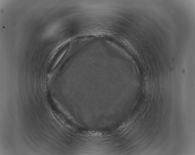 X0000083990640200703161624