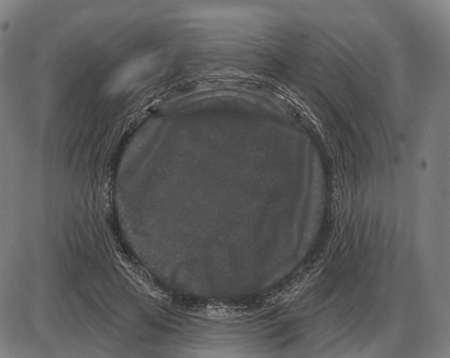 X0000083990641200703161624