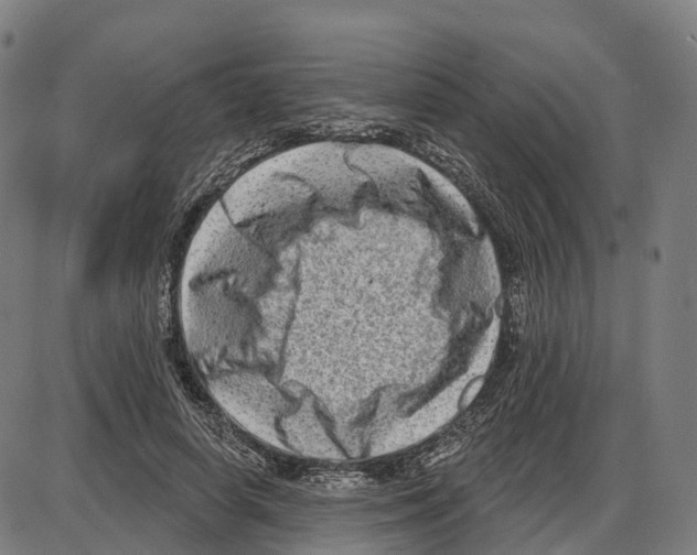 X0000083990642200703161624