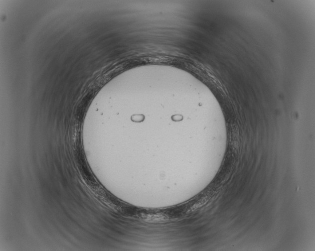 X0000083990645200703161624