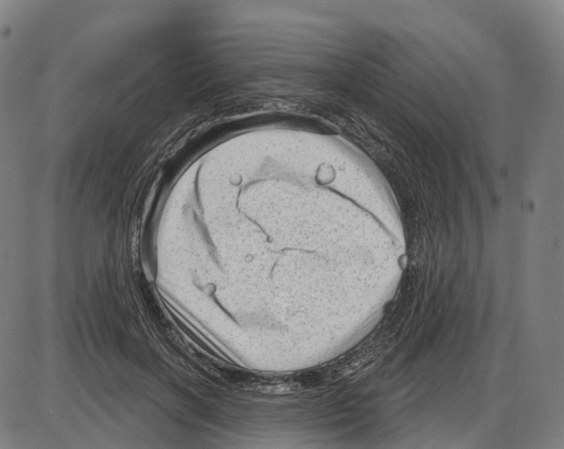 X0000083990646200703161624