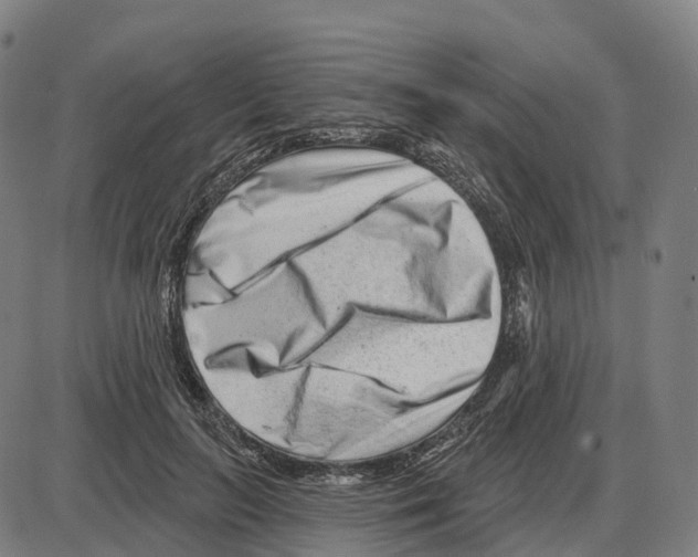 X0000083990647200703161624