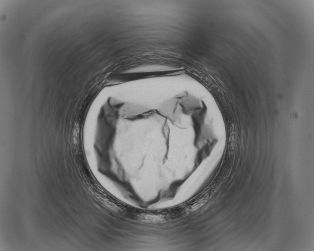 X0000083990649200703161624