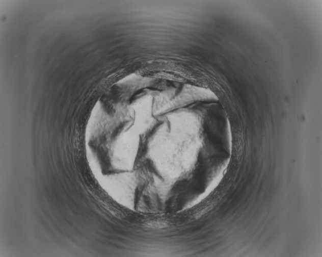 X0000083990653200703161624