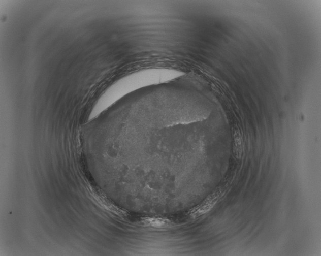 X0000083990654200703161624