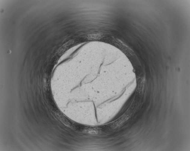 X0000083990655200703161624