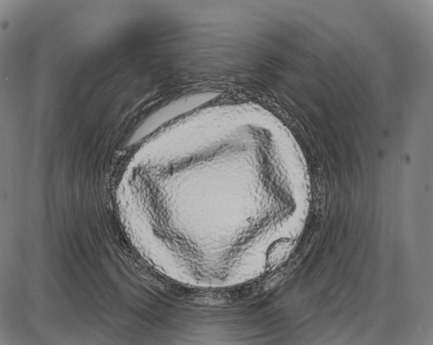 X0000083990656200703161624