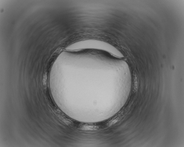 X0000083990657200703161624