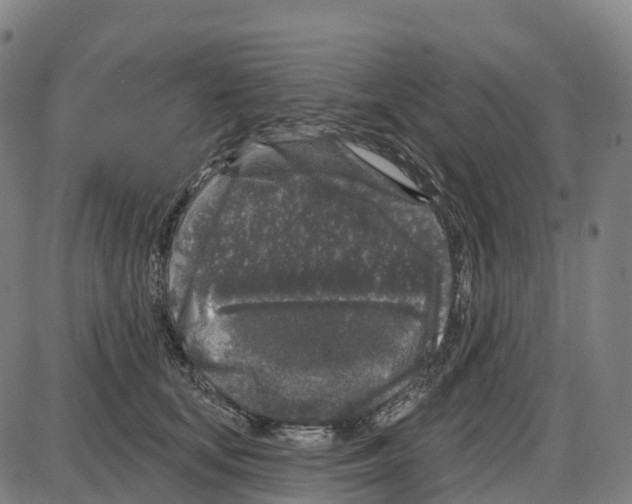 X0000083990659200703161624