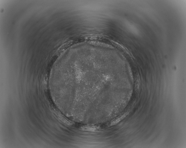 X0000083990661200703161624