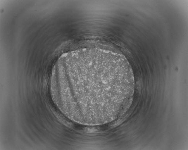 X0000083990662200703161624