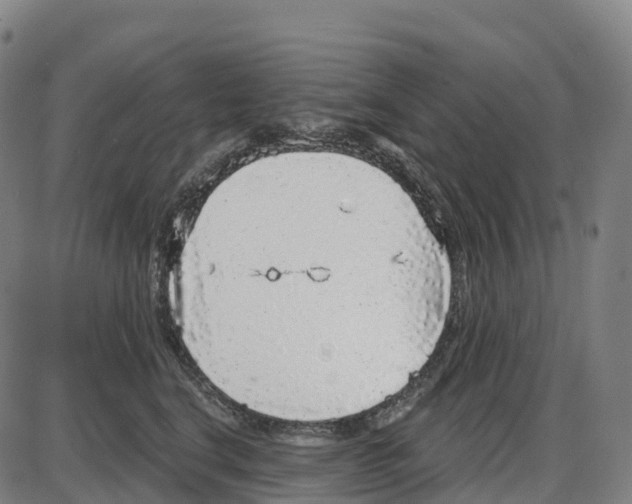 X0000083990664200703161624