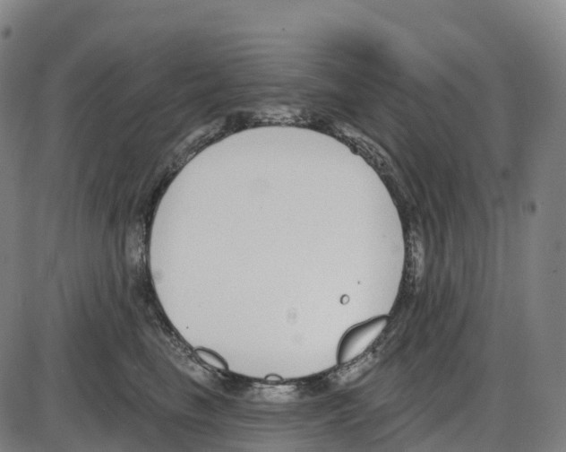 X0000083990665200703161624