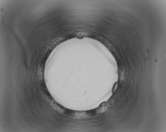 X0000083990666200703161624