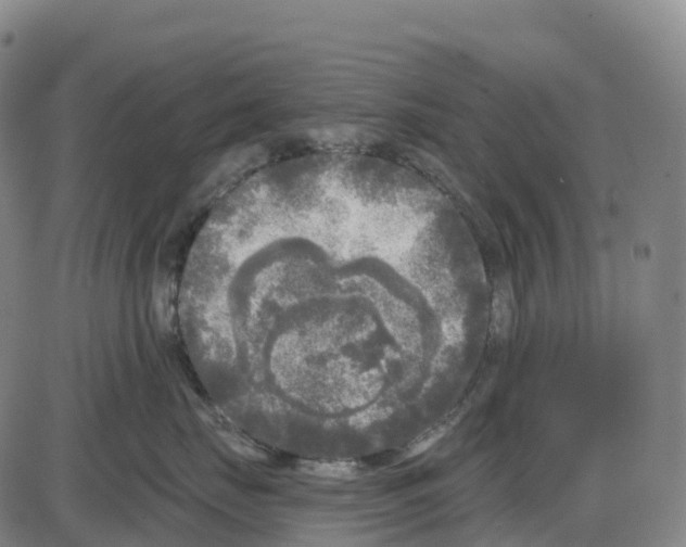 X0000083990671200703161624