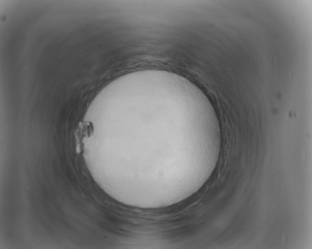 X0000083990672200703161624