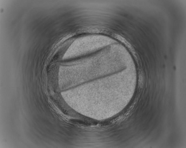 X0000083990673200703161623