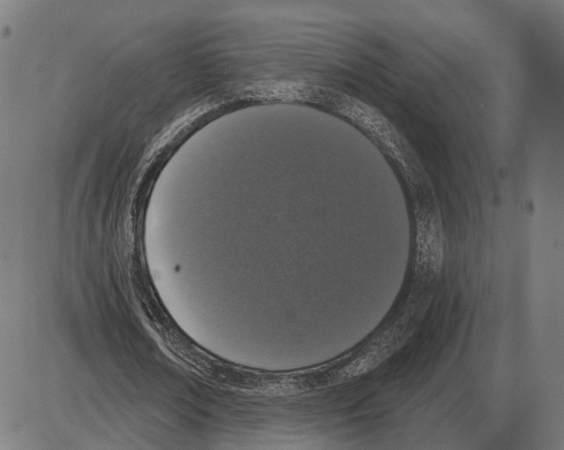 X0000083990674200703161623