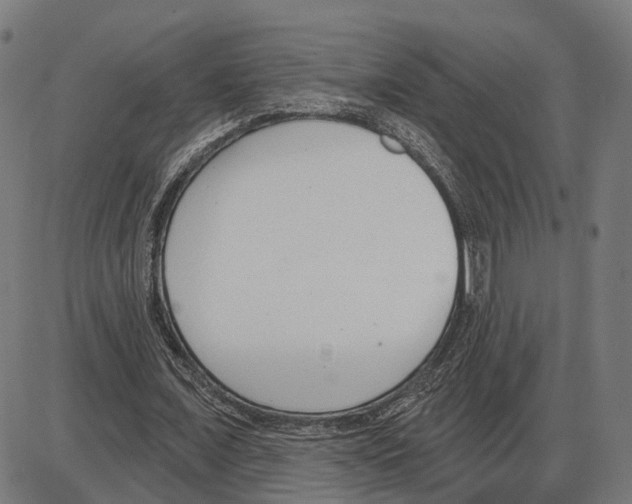 X0000083990675200703161623