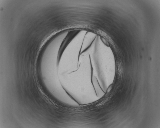 X0000083990676200703161623