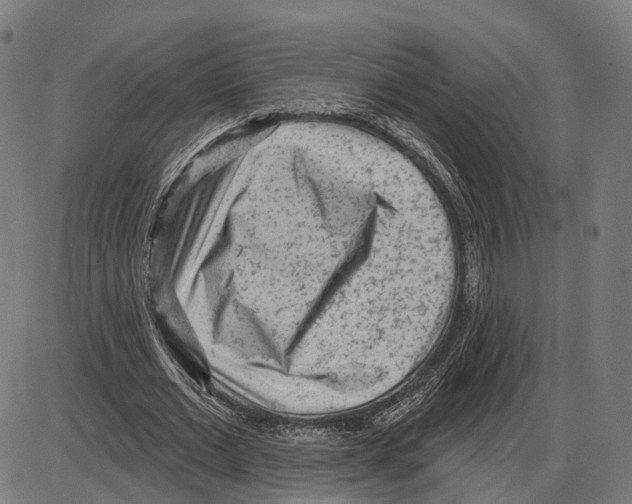 X0000083990677200703161623