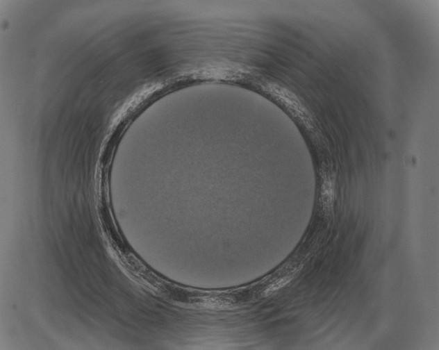 X0000083990678200703161623