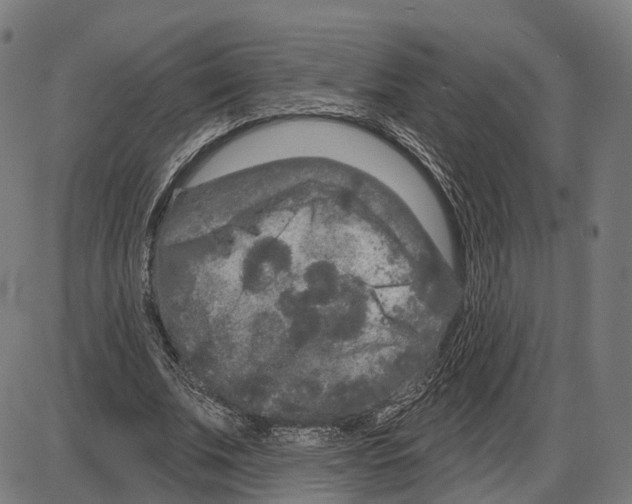 X0000083990679200703161623