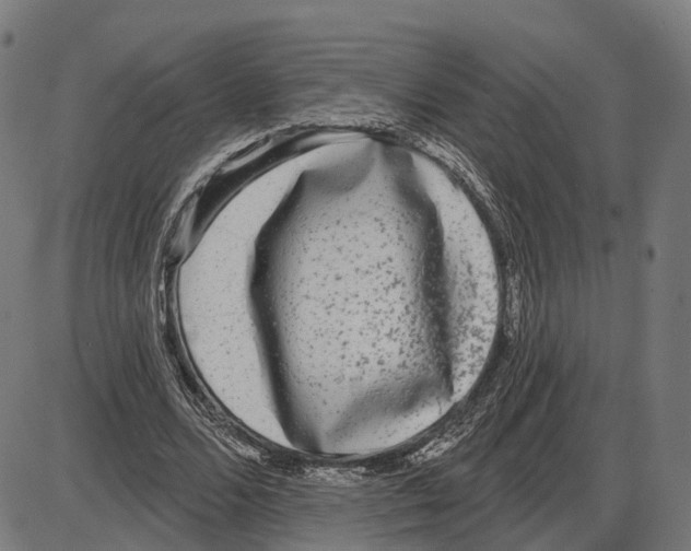 X0000083990680200703161623