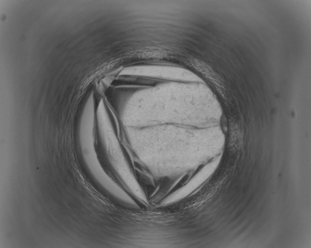 X0000083990681200703161623