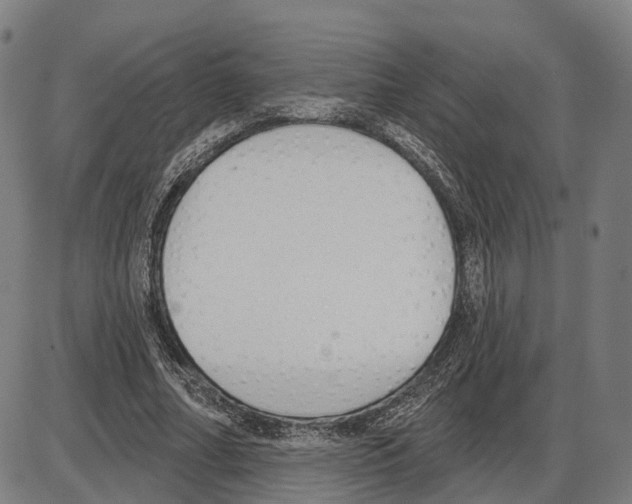 X0000083990682200703161623