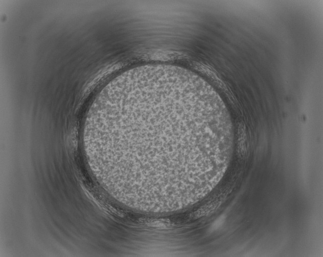 X0000083990683200703161623