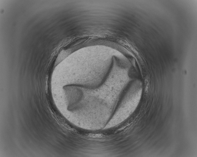 X0000083990685200703161623