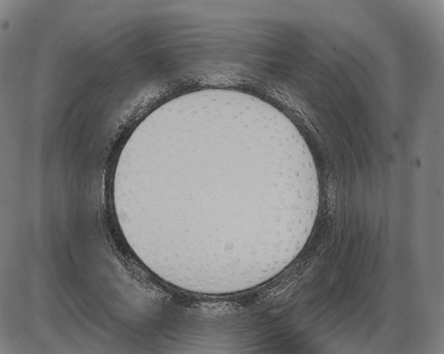 X0000083990686200703161623