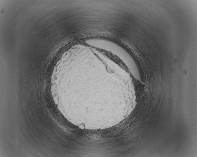 X0000083990687200703161623