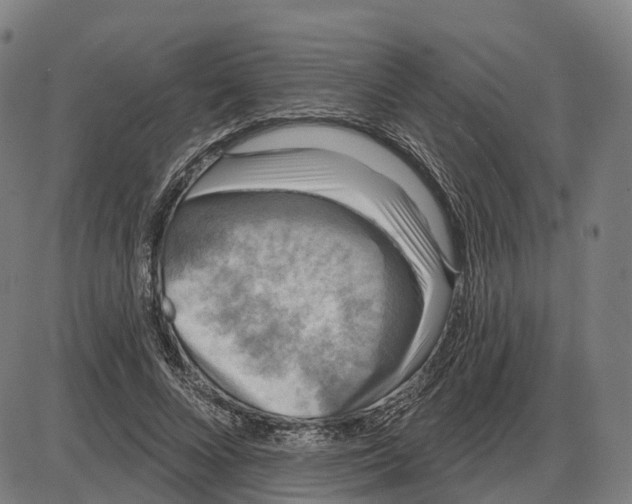 X0000083990688200703161623