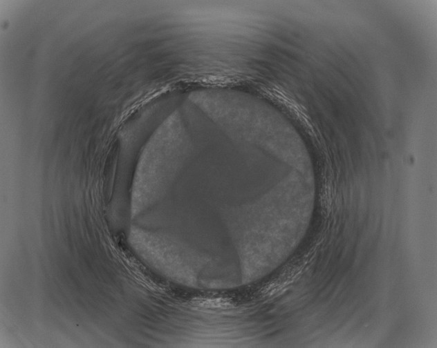 X0000083990689200703161623