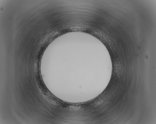 X0000083990690200703161623