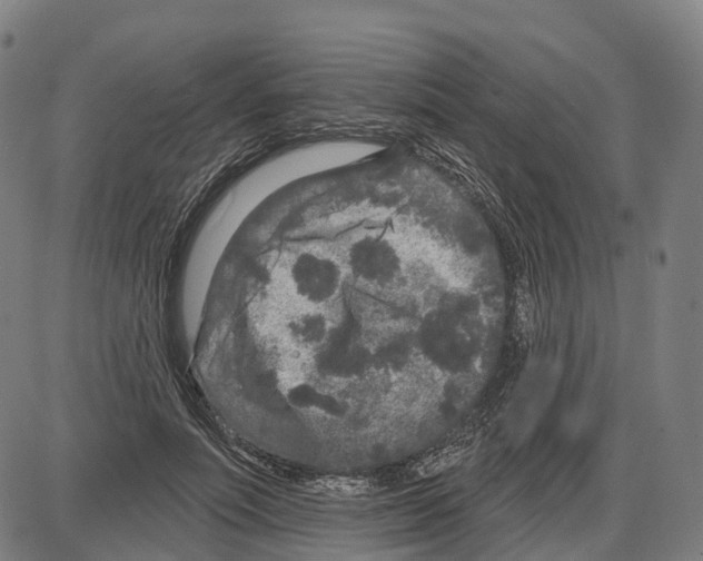 X0000083990691200703161623