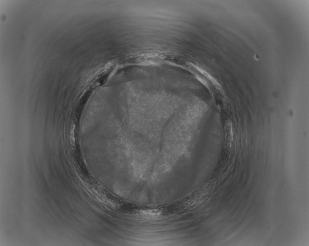 X0000083990692200703161623