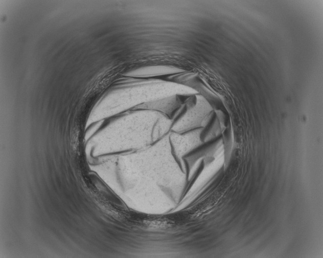 X0000083990693200703161623